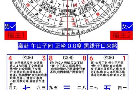 玄空飞星吉凶排盘