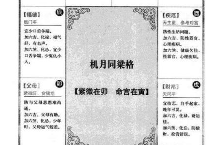 紫薇斗数的申宫是什么五行