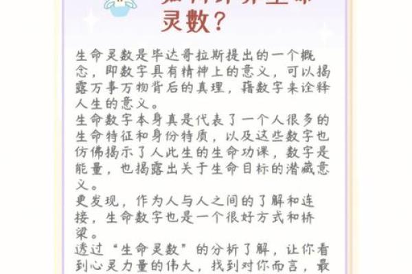 什么是生命灵数测试