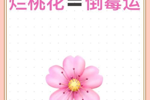 异性缘极重的八字从不缺桃花，要及时斩烂桃花