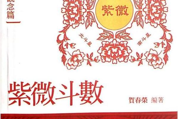 紫薇斗数进阶书