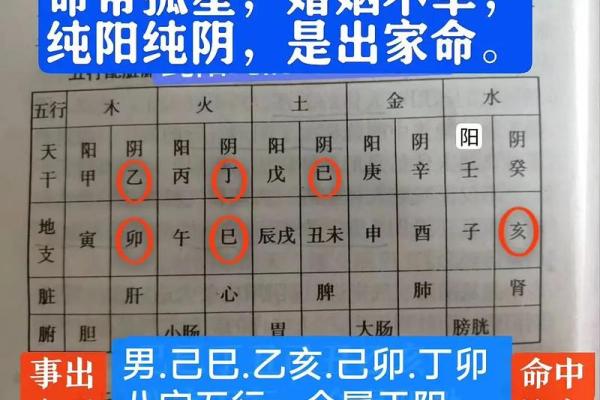 八字己巳大运是什么运势