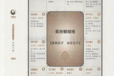 紫微斗数之田宅宫与诸星，贪狼星在田宅宫是什么意思？