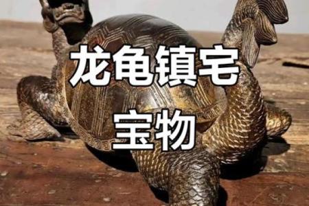 风水龙龟的摆放方法及禁忌用开光吗