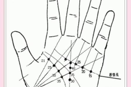 如何看手相算命看手相怎么看 如何看手相算命图片大全图解