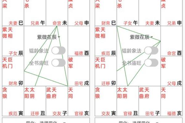 紫微斗数诸星落诸宫之：七杀星官禄宫详解