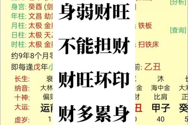 五分钟教你学看八字案例53- 身弱财旺 有比劫助身 才能更好的去担财