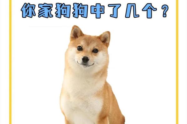 以下品种什么样的狗旺财风水