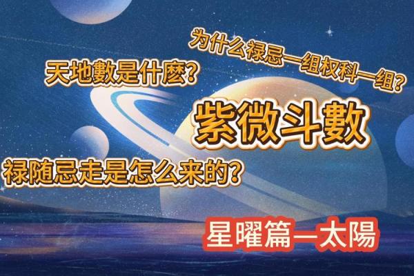 紫微斗数之各星曜所主行业：看合伙