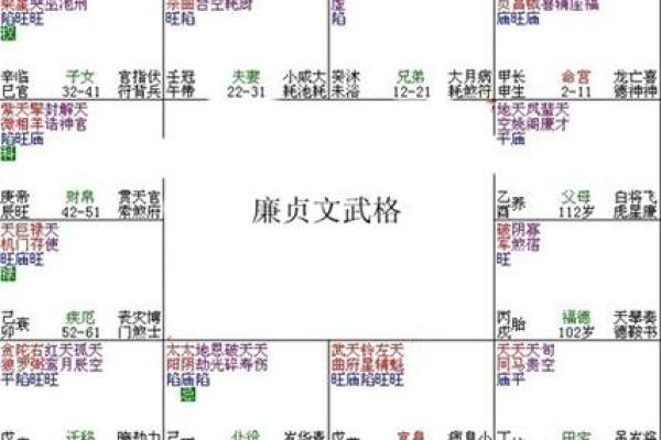 紫薇斗数富贵格