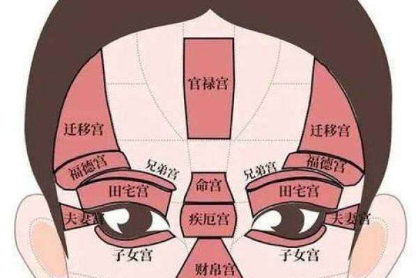 面相算命图解十二宫之：田宅宫