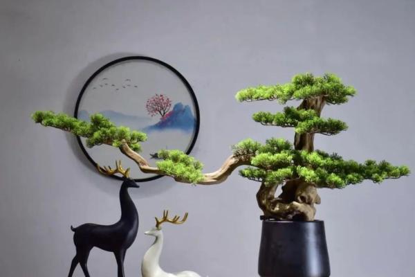 玄关摆放植物有什么风水讲究