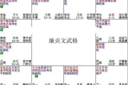 紫薇斗数富贵格