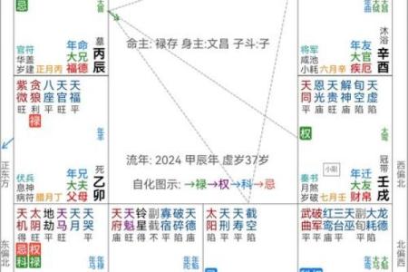 紫微斗数之后天运势－－岁限的分析推断：看流年