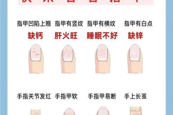 指甲 风水