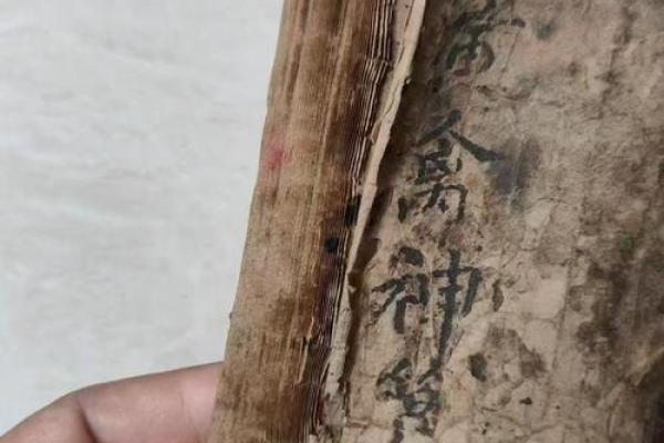 《八字算命藏决》：穿越时空的命理密码，张殿松大师亲授改运秘籍