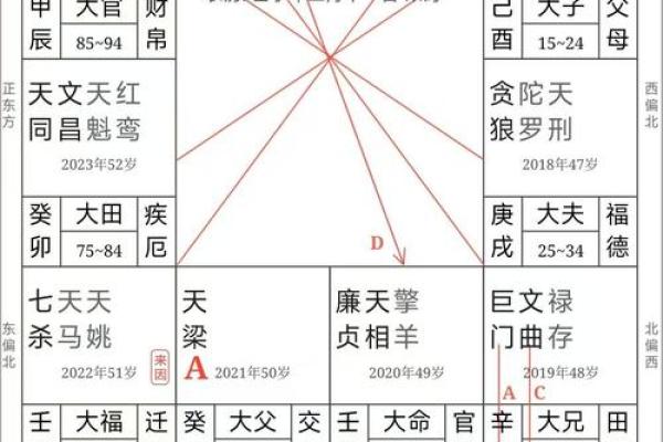 紫薇斗数与癌症