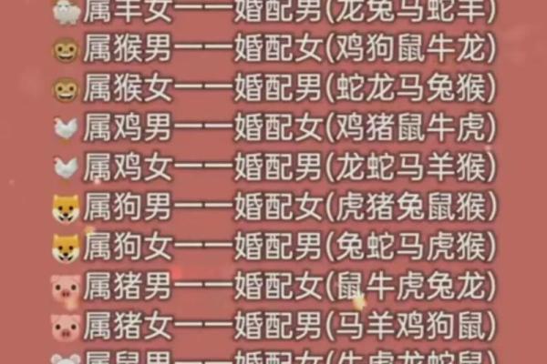 96年女鼠八字姻缘配猪