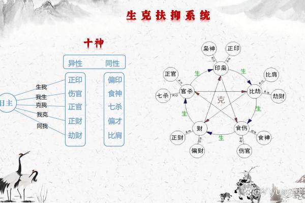 八字中十神在各柱的意义
