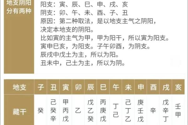 四柱八字分别代表什么？