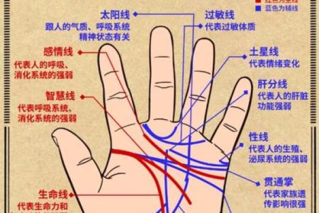 男士手相算命