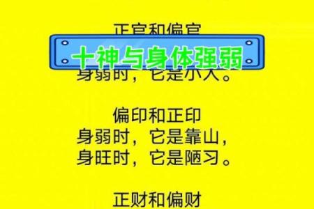 八字中十神在各柱的意义
