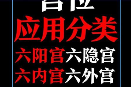 紫薇斗数体用宫