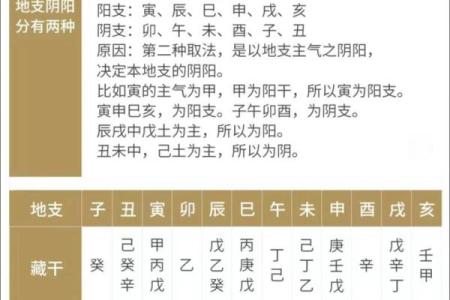 四柱八字分别代表什么？