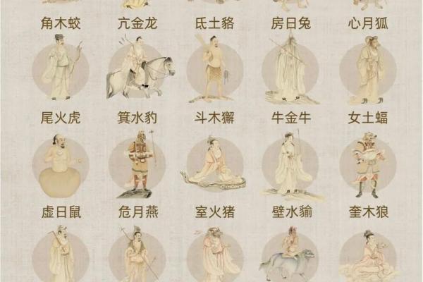 算命青龙什么意思