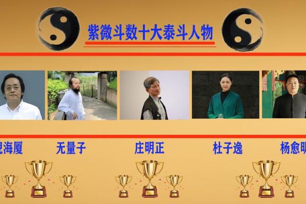 紫薇斗数男性篇