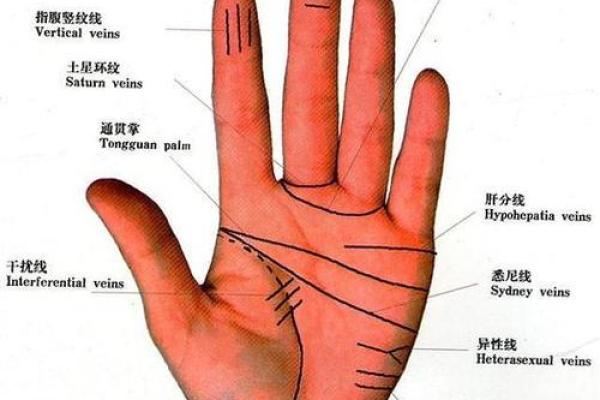 怎样看手纹给自己算命 富贵的手相 怎样看手纹给自己算命 富贵的手相