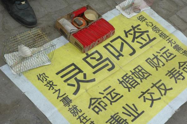 灵鸟叨签算命违法吗 灵鸟叨签算命违法吗