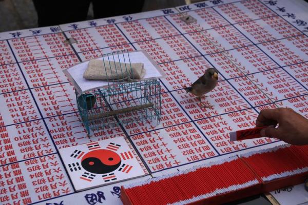 灵鸟叨签算命违法吗 灵鸟叨签算命违法吗