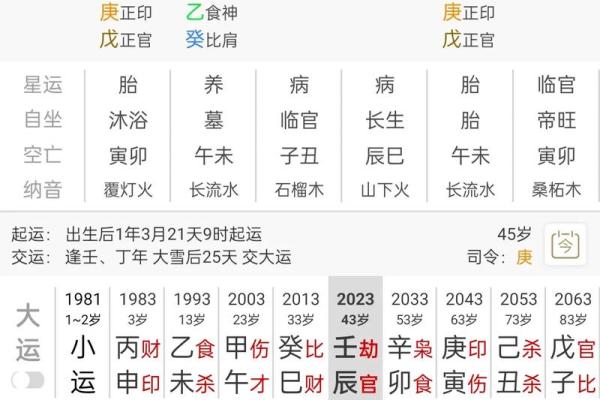 壬辰日八字 壬辰日八字