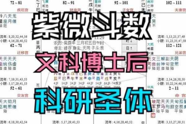 紫薇斗数断学历
