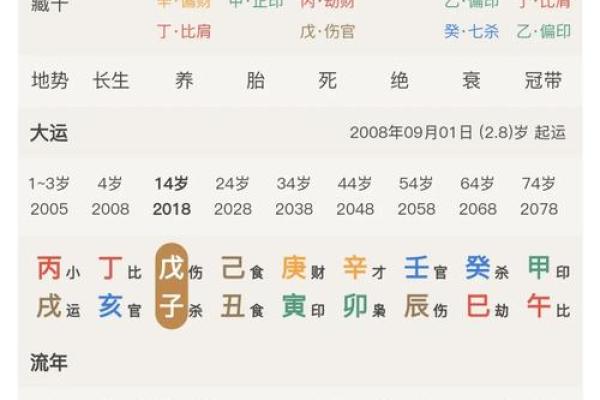 八字排盘怎么看图解 八字排盘怎么看图解