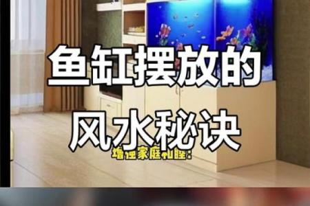 书房里摆放鱼缸养鱼这样风水会好吗