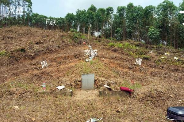 怎么查看我国名人祖坟风水大全