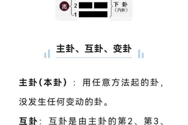 用梅花易数怎么算命 用梅花易数怎么算命