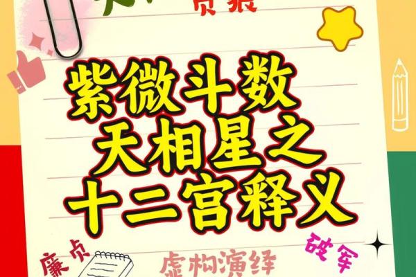 紫薇斗数精成大家 紫薇斗数精成大家