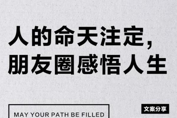 八字天注定,人生需冷静(四) 八字天注定,人生需冷静(四)