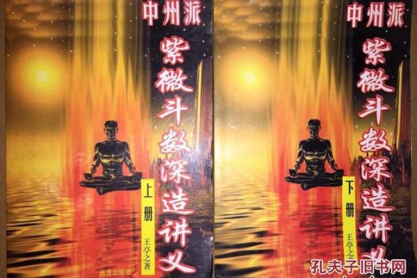 紫薇斗数书店有吗