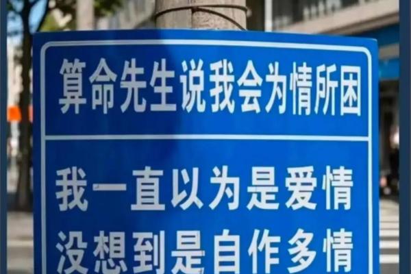 大哥的老丈人是算命先生，他只看了我一眼，就让大嫂对我格外照顾