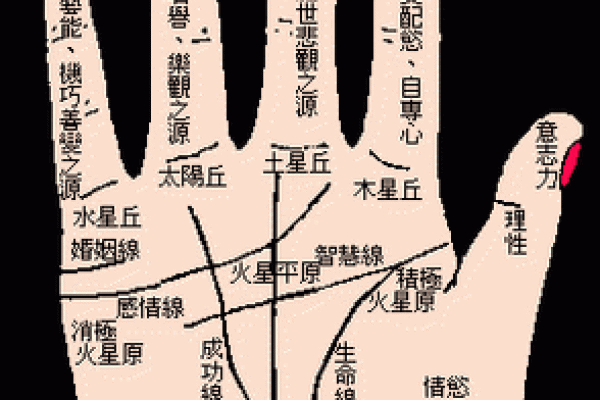 背部胎记算命图解 背部胎记算命图解