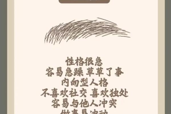 风水面相哪三种眉毛男人最好命