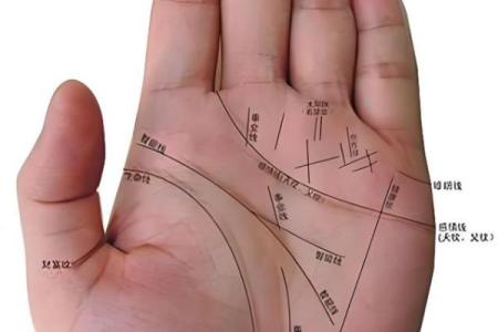 五角星手纹算命图解 五角星手纹手相