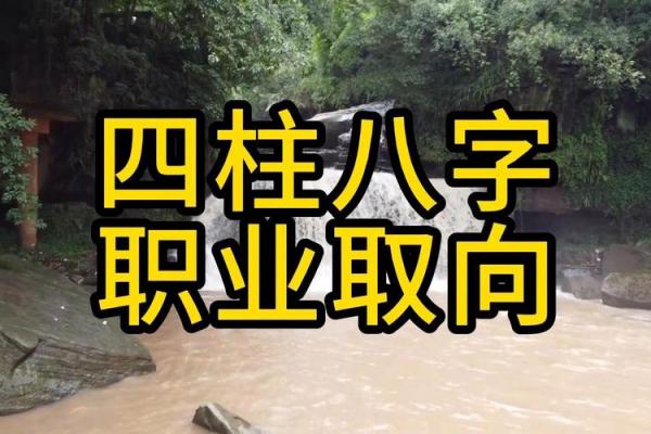 八字如何指导职业选择 八字如何指导职业选择