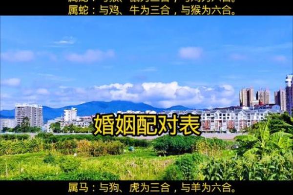 八字合婚:这样配对,很难幸福,离婚率高 八字合婚:这样配对,很难幸福,离婚率高