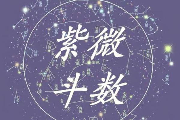 紫薇斗数测试网