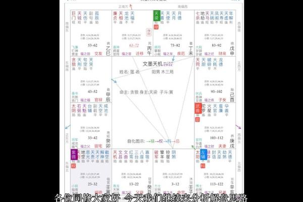 紫薇斗数怎么分析